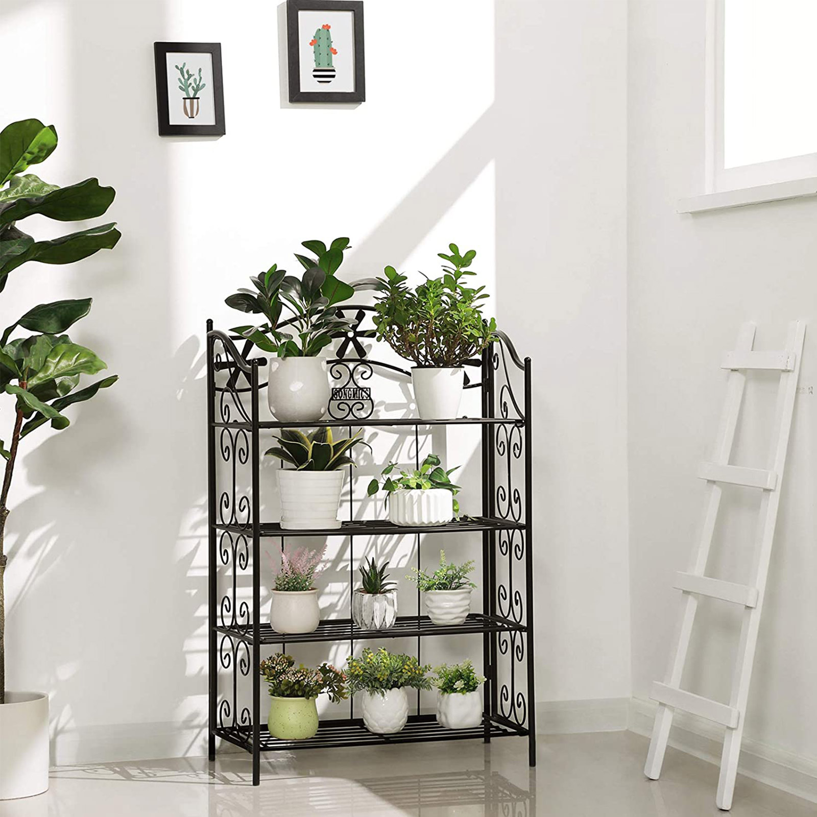 Etagere pour promo plante