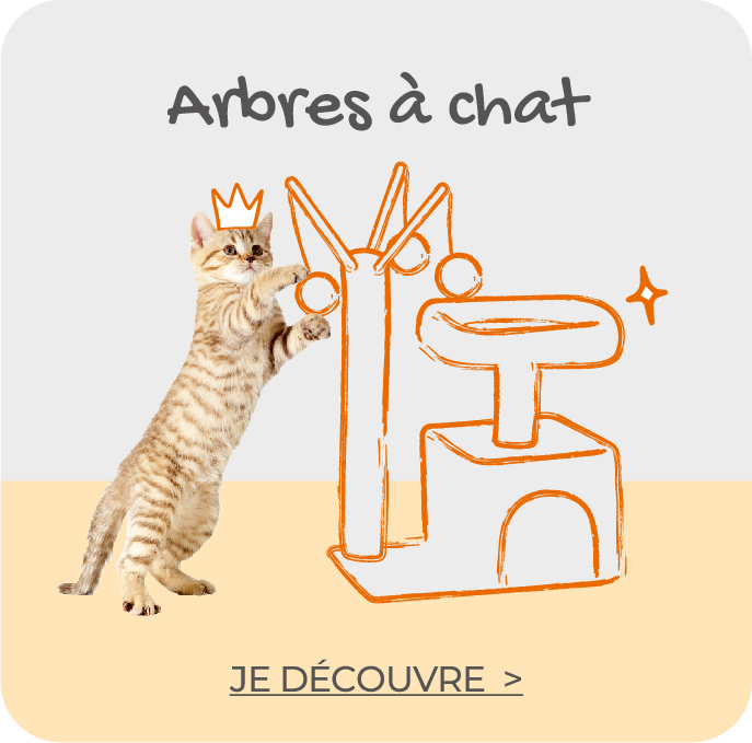 offres-produits-animaux-PC-Promotion Blocks with 4 Products Right-FRFeandreaCat Trees20220922PC.jpg