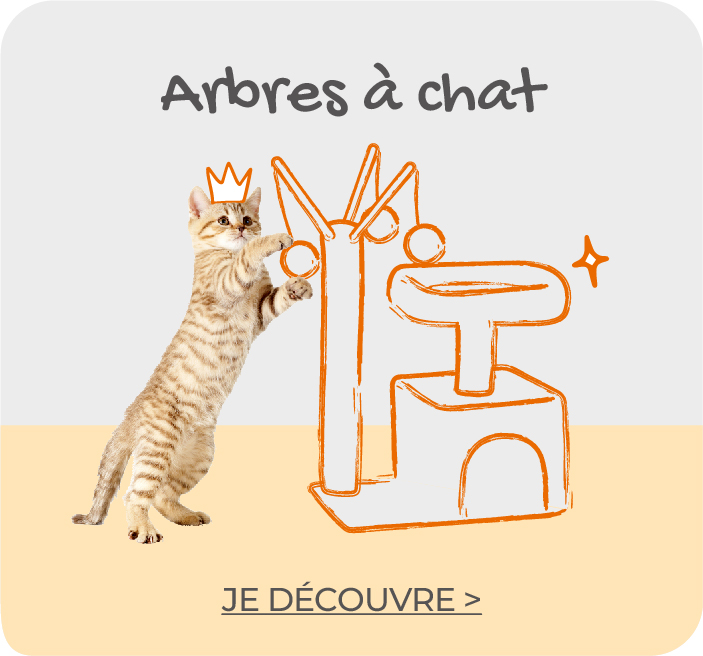 offres-produits-animaux-WAP-Promotion Blocks with 4 Products Right-FRFeandreaCat Trees20220922M.jpg