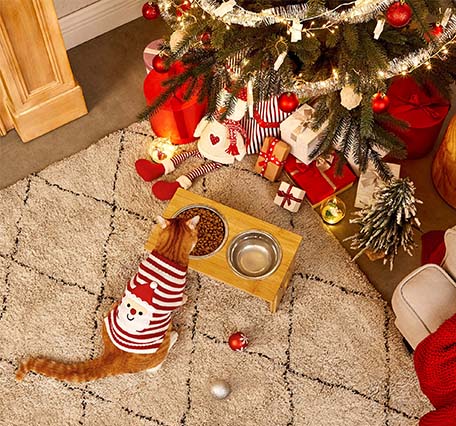 2021-xmas-pomos.html-PC-Advert with 3 Pictures-Pets-PRB01N-PC.jpg