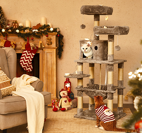 2021-xmas-pomos.html-PC-Advert with 3 Pictures-Pets-PCT15W-PC.jpg